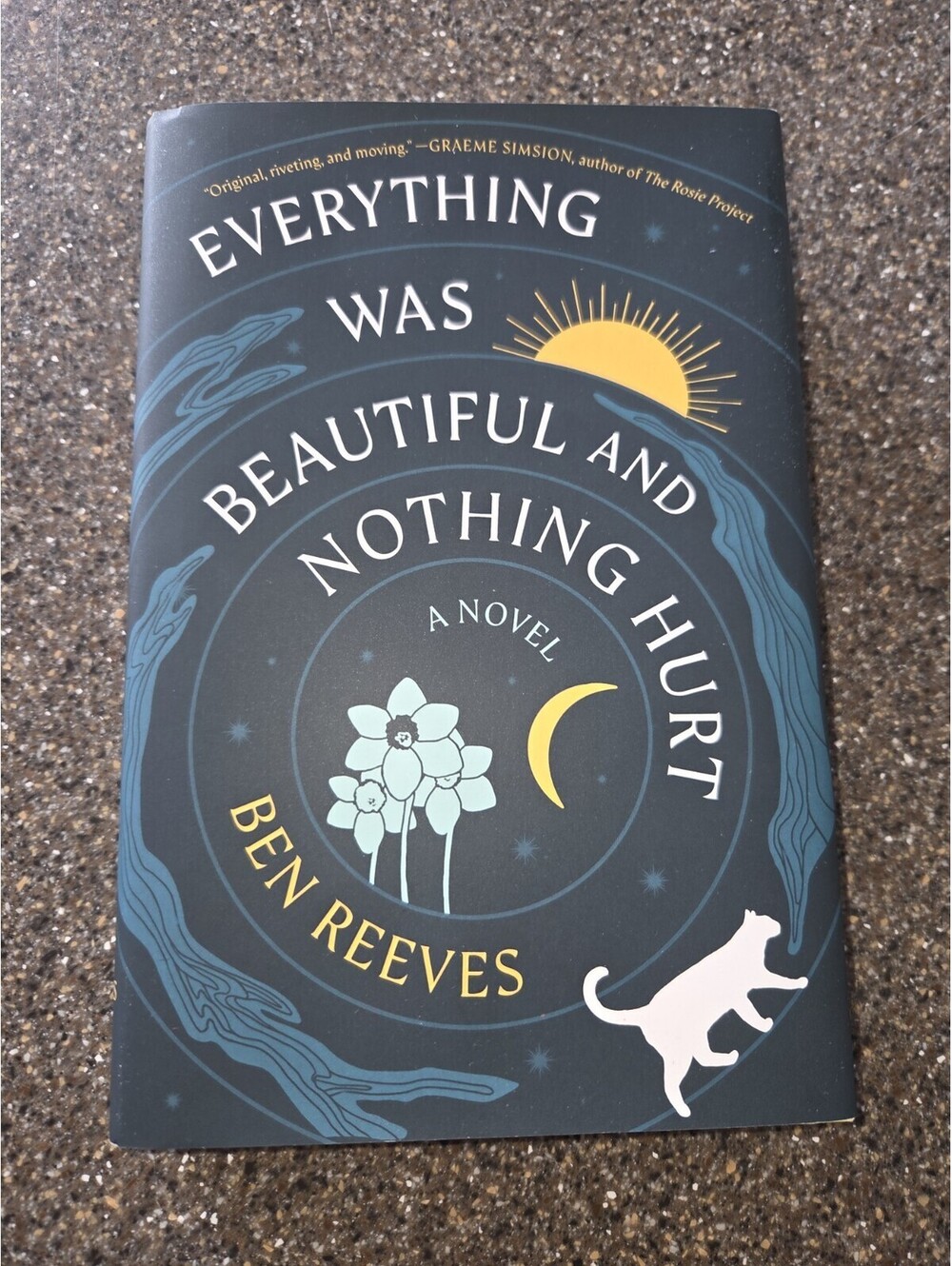Everything Was Beautiful and Nothing Hurt: A - Hardcover, by Reeves Ben - New